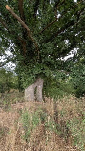 Lahnwanderweg Etappe 14: Aumenau - Villmar