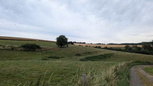 Lahnwanderweg Etappe 14: Aumenau - Villmar