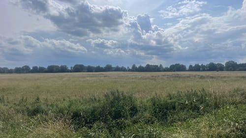 Rund um das Nienwohlder Moor