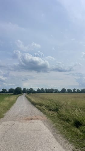 Rund um das Nienwohlder Moor
