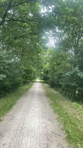 Rund um das Nienwohlder Moor