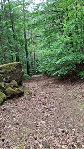 Zwiesel - Kirschfels - Forsthaus Annweiler