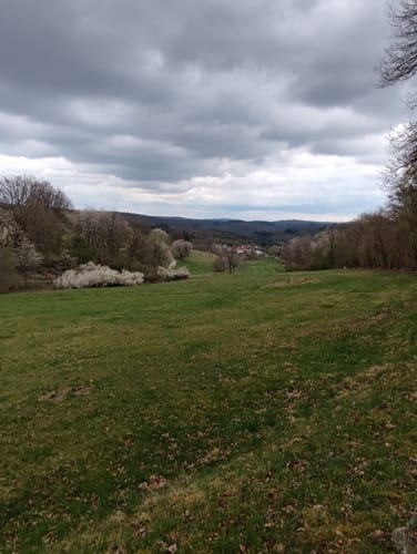 Wanderwege Hasselborn - Hase