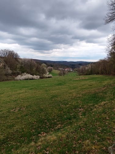 Wanderwege Hasselborn - Hase