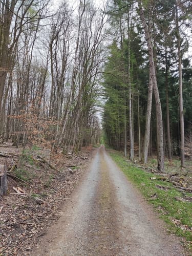 Wanderwege Hasselborn - Hase