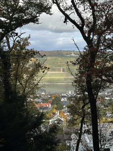 Von Bingen entlang der Nahe auf den Scharlachkopf