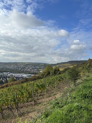 Von Bingen entlang der Nahe auf den Scharlachkopf