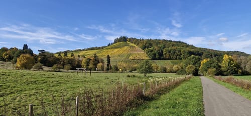 Von Mertesdorf zur Weihnachtshütte