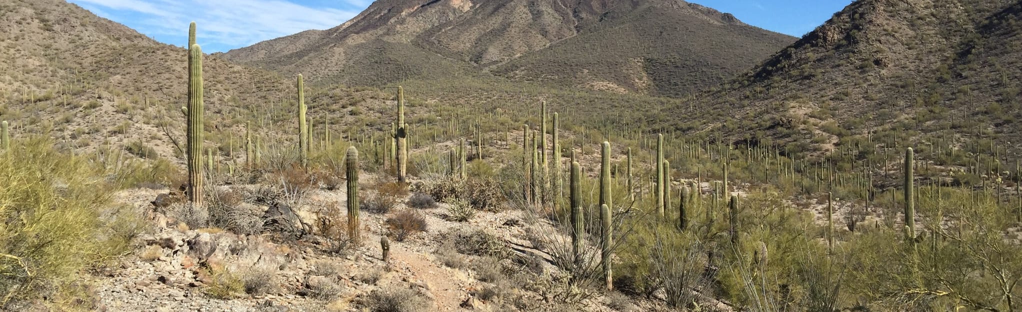 Table Top Mountain Trail, Arizona 73 Reviews, Map AllTrails