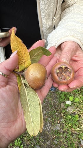 Kondertal entlang des Eschbach