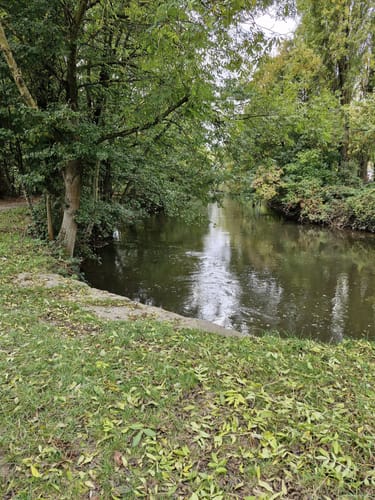 An der Erft zum Schloss Reuschenberg