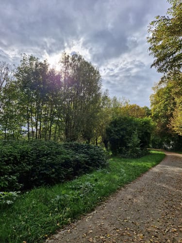 An der Erft zum Schloss Reuschenberg