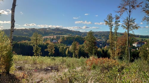 Stausee Sohland - Gondelteich - Kälbersteine