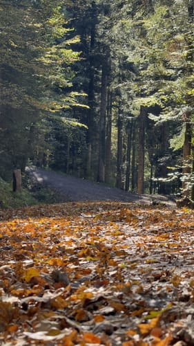 Hausacher Bergsteig (Genießerpfad)