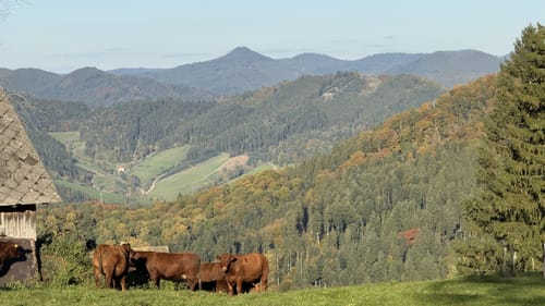 Hausacher Bergsteig (Genießerpfad)
