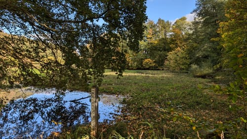 Kurze Duvenstedter Brook-Runde