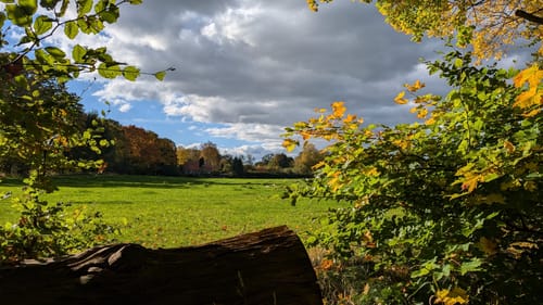 Kurze Duvenstedter Brook-Runde