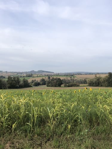 Burg Rötteln - Rümminger Moos