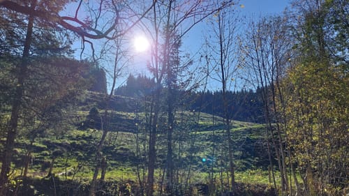Von Schmidsfelden zur Wolfsberghütte