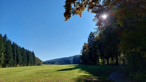 Von Schmidsfelden zur Wolfsberghütte
