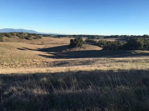 are dogs allowed at santa rosa plateau