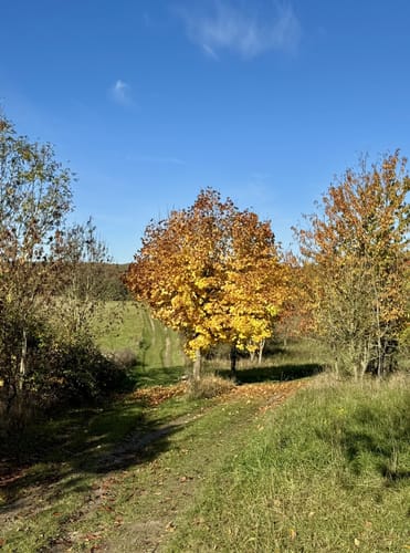 Tornowhof - Lütter See