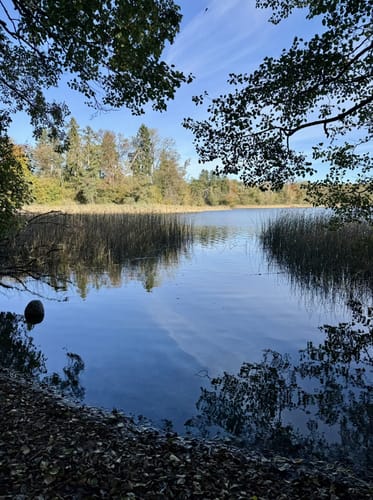Tornowhof - Lütter See