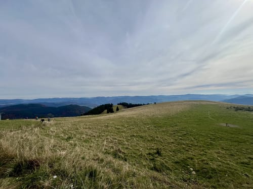 Belchensteig (Genießerpfad)