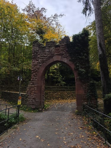 Miltenberg - Felsenmeer Rundwanderung
