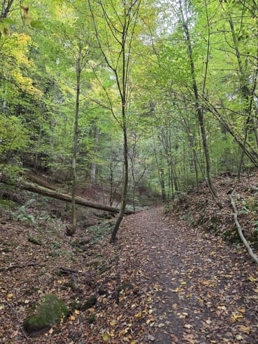 Miltenberg - Felsenmeer Rundwanderung