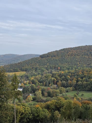Miltenberg - Felsenmeer Rundwanderung