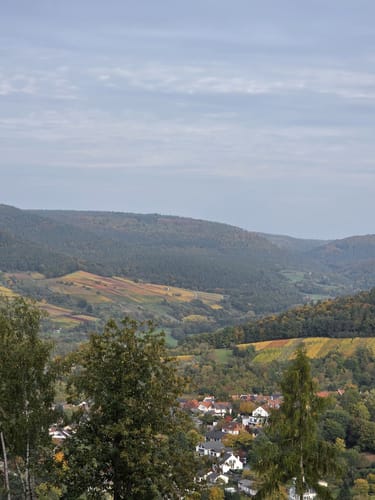 Miltenberg - Felsenmeer Rundwanderung