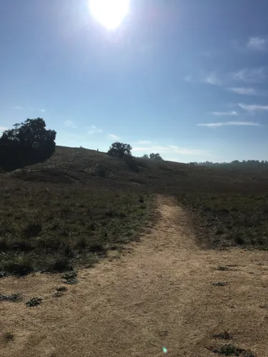 10 Best Walking Trails in Santa Rosa Plateau Ecological Reserve | AllTrails