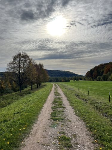 Bergbaulehrpfad Schneeberg