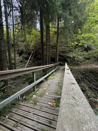 Eine Spur Abwechslungsreicher (Zemmer Nr. 14)