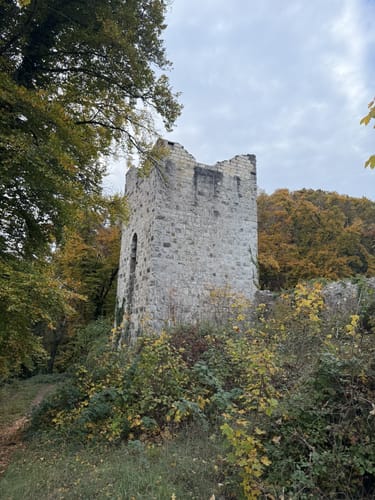 Drei-Burgen-Steig Riedenburg