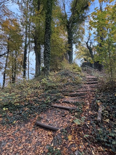 Drei-Burgen-Steig Riedenburg