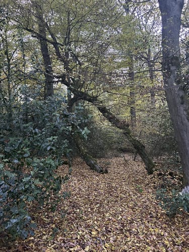Stucken Rundweg A9