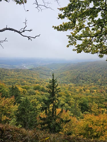Hessische Schweiz P4 (Premiumwanderweg)
