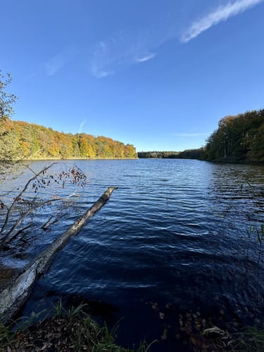 Im Biesenthaler Becken um den Hellsee
