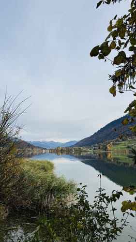 Vom Alpsee zur Siedelalpe