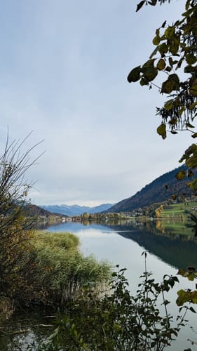 Vom Alpsee zur Siedelalpe