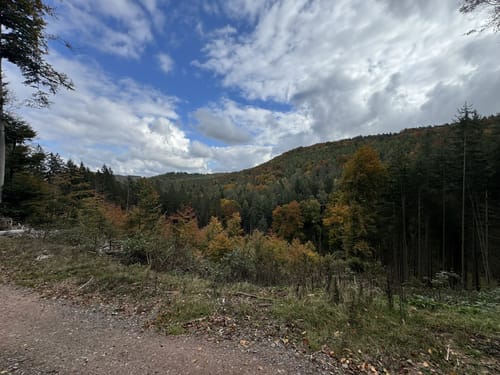 Ins Hochspeyertal zum Meisenkopf ab Hochspeyer