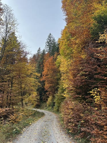 Aueralm und Fockenstein