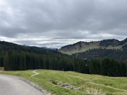 Lappach Alpe -  Käsehütte - Gipfelkreuz Gelbhansekopf