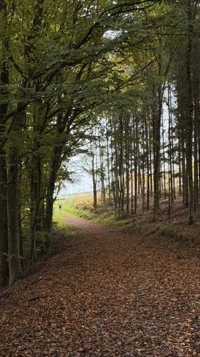 Utscheid (Naturpark Südeifel Wanderweg Nr. 82)