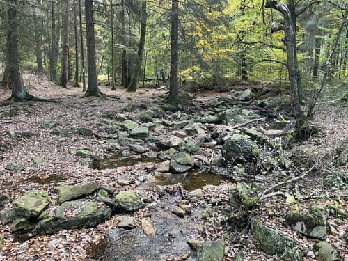 Struffeltroute
