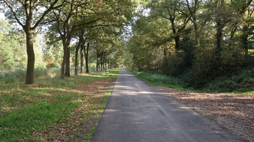 Noaberpad Etappe 8: Weiteveen - Emlichheim