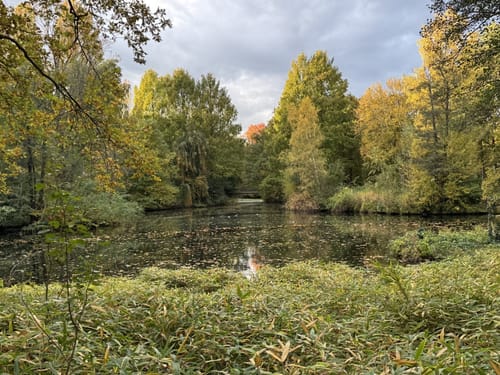 Zoologischer Garten - Tiergarten - Brandenburger Tor