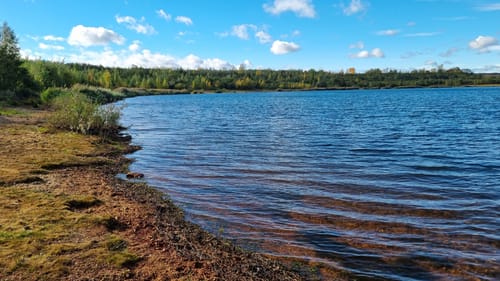 Rund um den Zwenkauer See